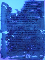 コーデックスのフォリオ2対（palimpsest）